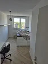 Room for rent: Cornelis van Rijplantsoen, Dobbebuurt Amsterdam
