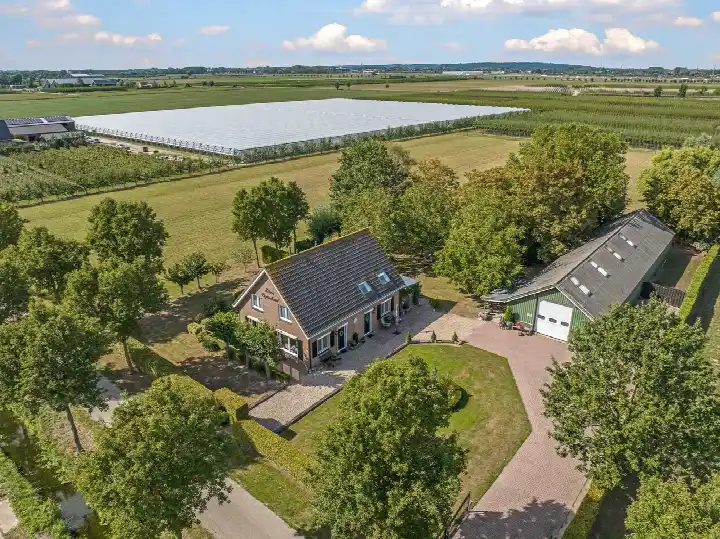Detached house for sale: De Dreef 12, Verspreide huizen Dodewaard-West Dodewaard
