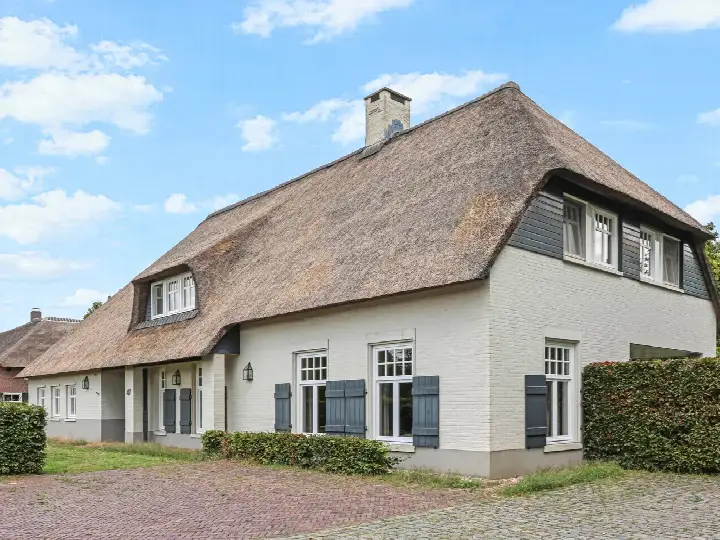 Detached house for sale: Delst 47, Zwarte Molen Nistelrode