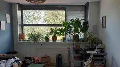 Kamer te huur: Dijkwacht, Leyhof Leiderdorp