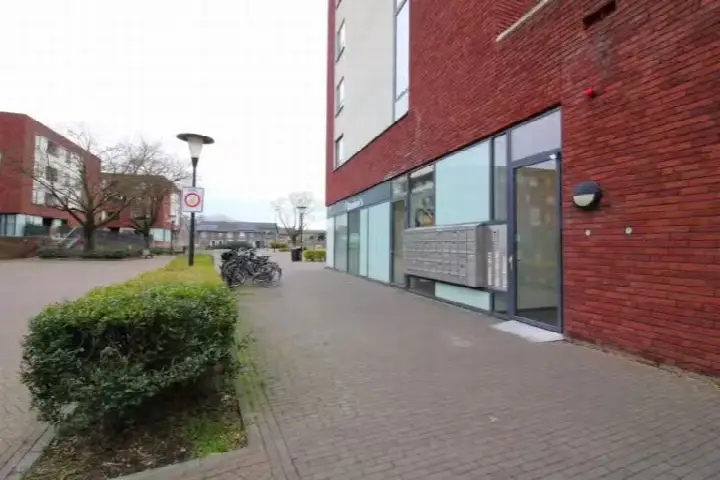 Home for rent: Dirigentplein, Tongelresche Akkers Eindhoven