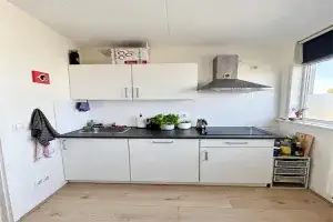 Home for rent: Dordtselaan, Tarwewijk Rotterdam