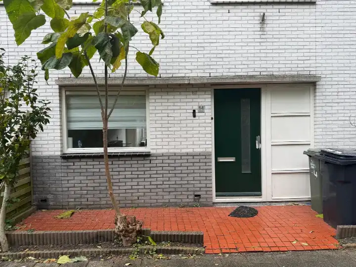 Terraced house for rent: Dumontstraat 14, Kunstschildersbuurt Haarlem