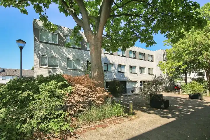 Tussenwoning te koop: Dumontstraat 4, Kunstschildersbuurt Haarlem