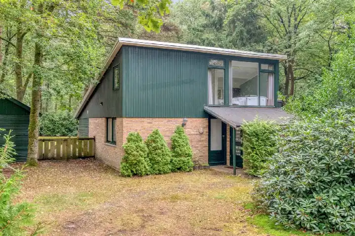 Detached house for sale: Elfde Wijk 40AR2, Rheezerveen Rheezerveen