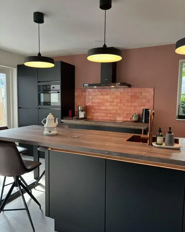 Home for rent: Else Mauhsstraat, Westerwatering Zuid Zaandam