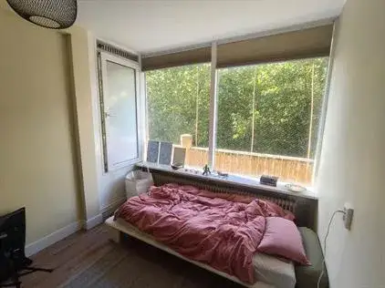 Room for rent: Euterpedreef, Wolga- en Donaudreef en omgeving Utrecht
