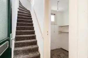 Home for rent: Fahrenheitstraat, Bomenbuurt 'S-Gravenhage
