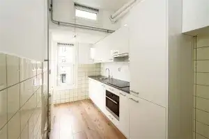 Home for rent: Fahrenheitstraat, Bomenbuurt 'S-Gravenhage