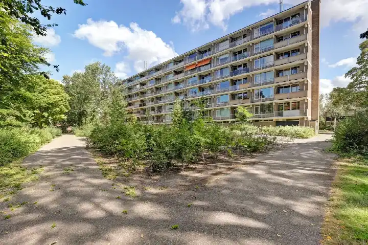 Apartment for sale: Frans Halslaan 245, Schildersbuurt Oegstgeest