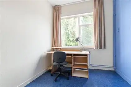 Kamer te huur: Hamburgerstraat, Professorenbuurt Groningen