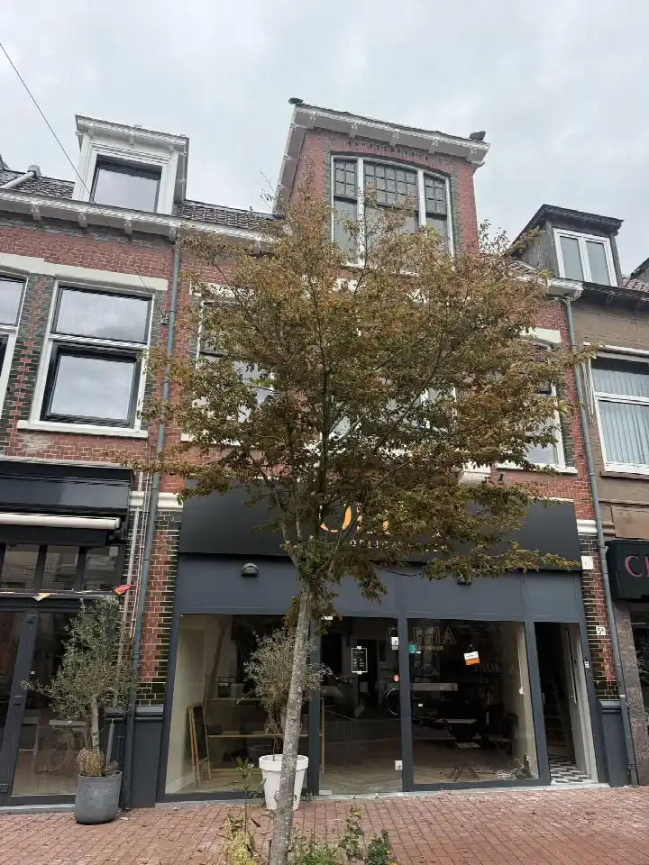 Woning te huur: Havenstraat, Brinklaan Bussum