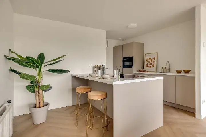 Appartement te koop: Haya van Somerenlaan 46, Betsy Perkbuurt Amstelveen