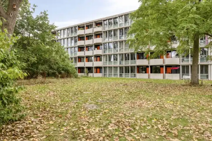 Appartement te koop: het hoogt 146, Plan van Gool Amsterdam