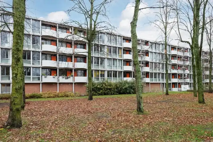 Appartement te koop: het Hoogt 80, Plan van Gool Amsterdam