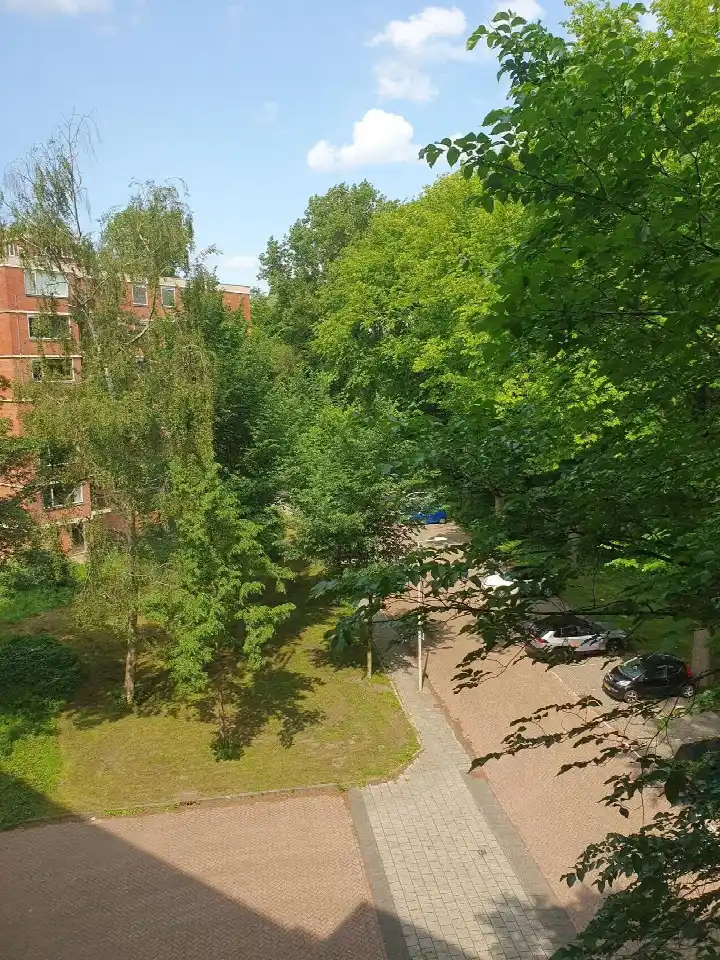 Appartement te huur: Ilperveldstraat 113, Werengouw-Noord Amsterdam