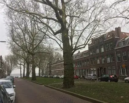 Room for rent: Jericholaan, Kralingen West Rotterdam
