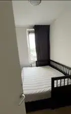 Room for rent: Koningin Wilhelminaplein, Koningin Wilhelminaplein Amsterdam
