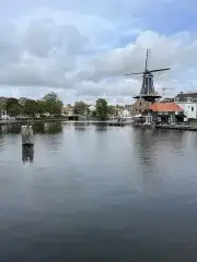 Home for rent: Koudenhorn, Bakenes Haarlem