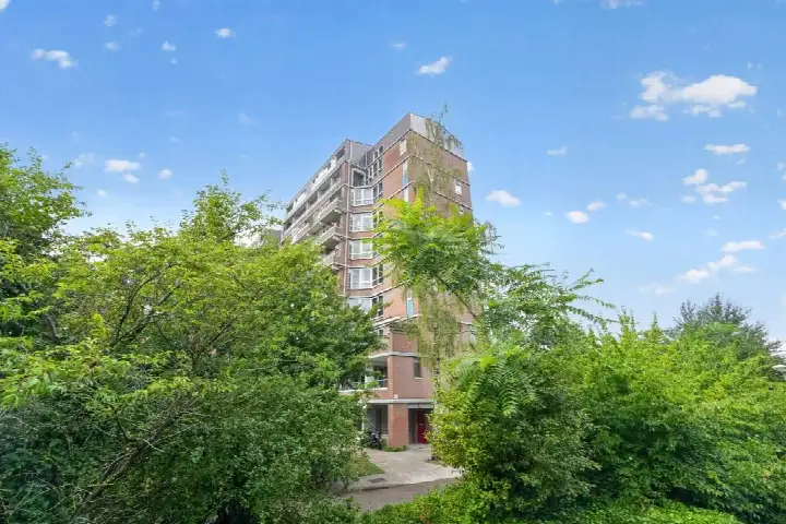 Apartment for sale: Leerdamhof 177, L-buurt Amsterdam