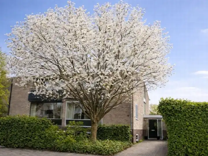 Hoekwoning te koop: Lisztlaan 2, Componistenkwartier Naarden