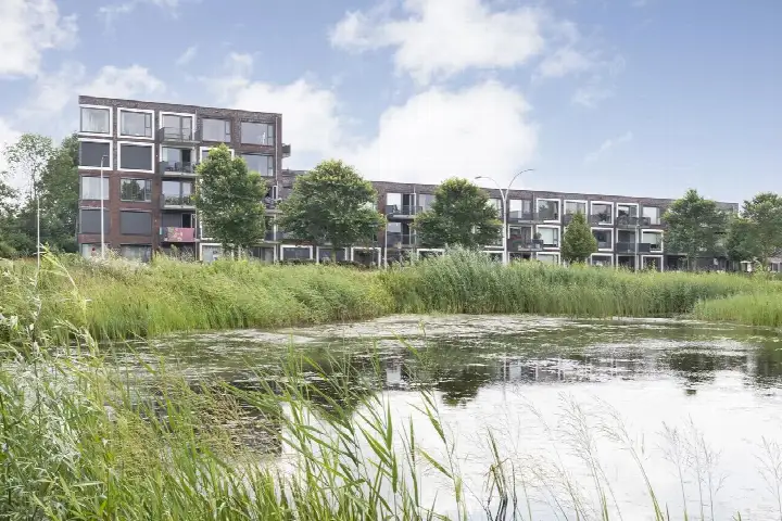 Appartement te koop: Litho 85, Drukkersbuurt Meppel
