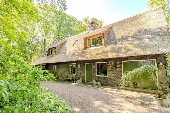 Vrijstaande woning te koop: Lutsborgsweg 71, Buitengebied Haren-Zuidoost Haren Gn