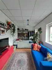 Kamer te huur: Magnoliastraat, Tuinzigt Breda