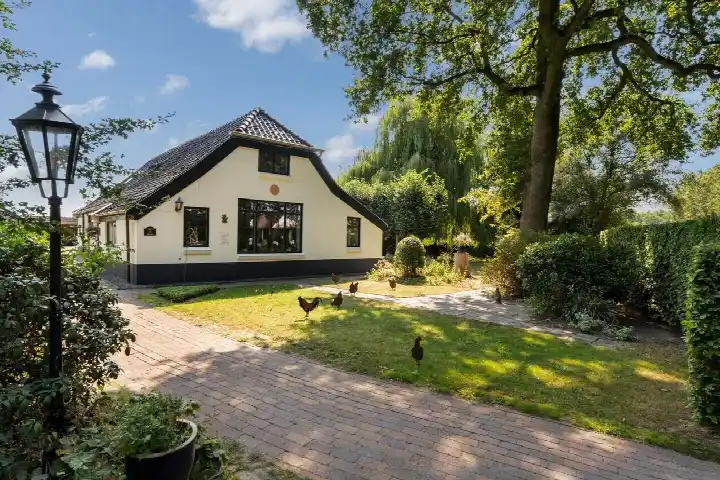 Detached house for sale: Meerboomweg-Zuid 13, Verspreide huizen Hollandscheveld-Oost Hollandscheveld
