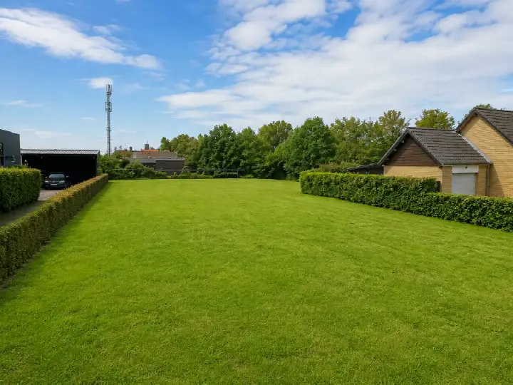 Home for sale: Molendijk, Rockanje Rockanje