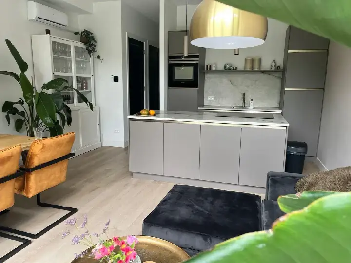 Home for rent: Musschenbroekstraat, Groenoord Leiden