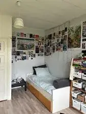 Kamer te huur: Oosterhamrikkade, Professorenbuurt Groningen