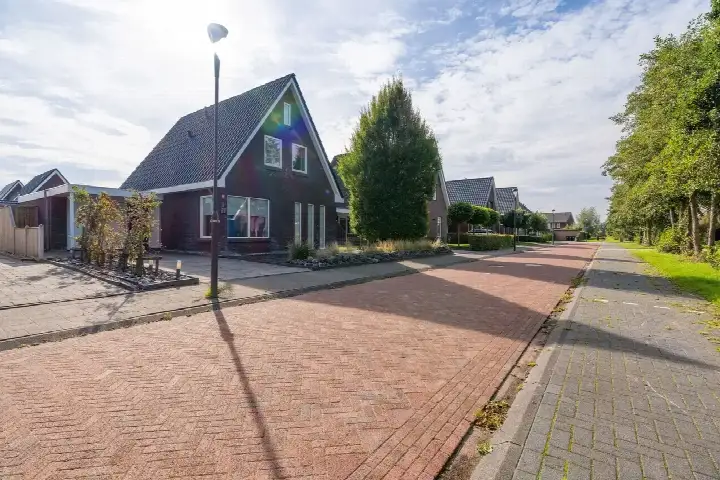 Vrijstaande woning te koop: Paardenbloem 8, Vrijburgh Drachten