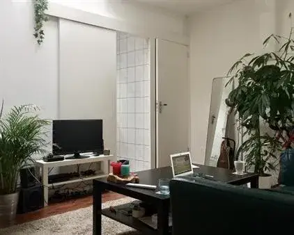 Room for rent: Paardenstraat, Rembrandtplein e.o. Amsterdam