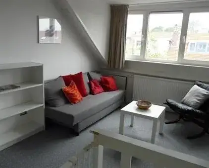 Room for rent: Petrarcalaan, Oog in Al Utrecht