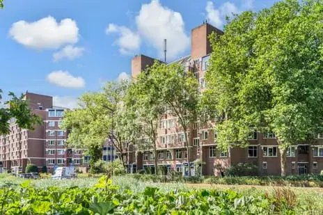 Apartment for sale: Prinses Beatrixlaan 44, Stervoorde Rijswijk (Zh)