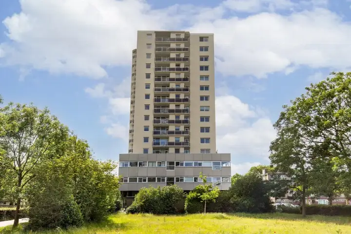 Appartement te koop: Professor Van der Scheerstraat 215, Professorenbuurt Haarlem