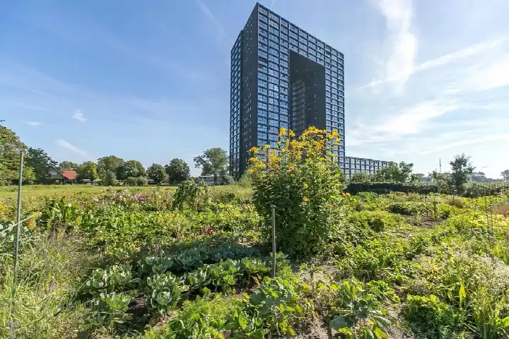 Appartement te huur: Regattaweg 322, Oosterhoogebrug Groningen