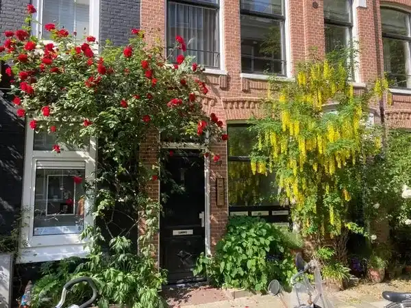 Apartment for rent: Saenredamstraat 29, Frans Halsbuurt Amsterdam