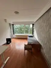 Kamer te huur: Schiedamseweg Beneden, Oud Mathenesse Rotterdam