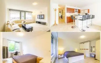 Appartement te huur: Schiekade 11A, Provenierswijk Rotterdam
