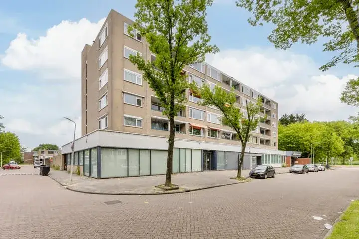 Apartment for sale: Spaansgroenstraat 16, Kleurenbuurt Zaandam