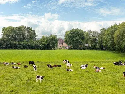 Twee-onder-één-kap te koop: 't West 18A, Donkerbroek-Buitengebied Donkerbroek