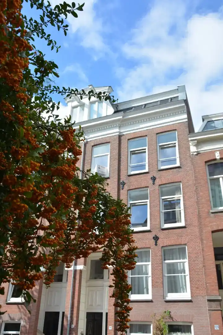 Apartment for sale: Tweede Jan van der Heijdenstraat 99D, Hemonybuurt Amsterdam