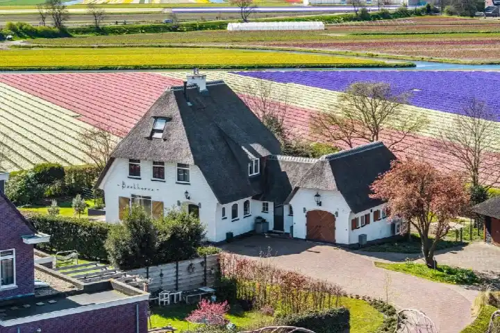 Vrijstaande woning te koop: Van den Endelaan 41, Leidsestraat Hillegom