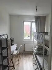 Room for rent: Van Oldenbarneveldtstraat, Arnhemse Broek Arnhem
