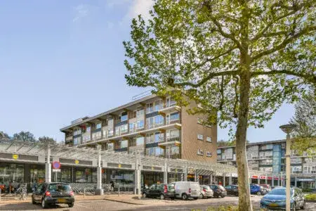 Appartement te koop: Van Oldenbarneveltplein 44, Crabbehof-Zuid Dordrecht