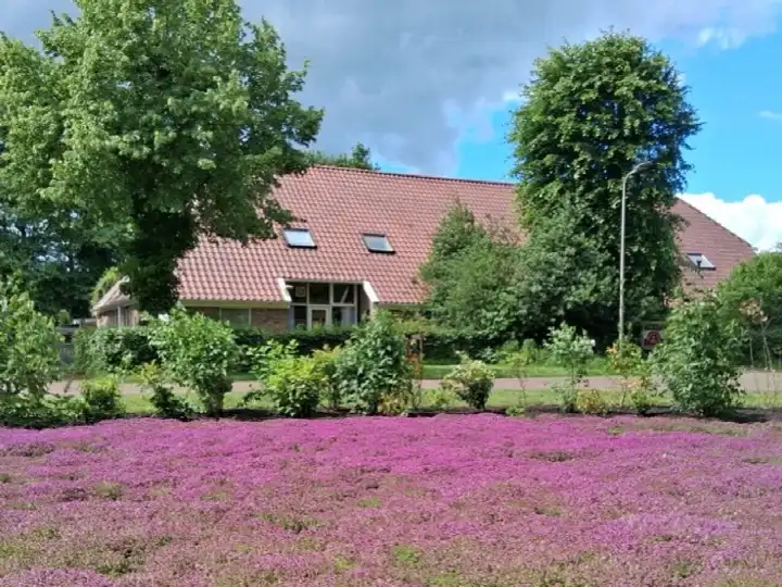 Vrijstaande woning te koop: Van Osstraat 2, Diever Diever
