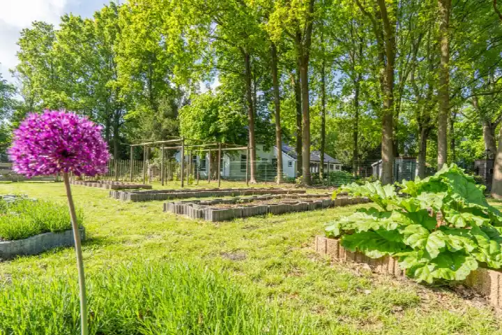 Woning te koop: Veenakkers ong, Gieterveen Gieterveen