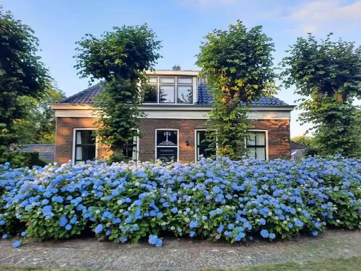 Appartement te koop: Weerwilleweg 10D, Koekange Noord Koekange